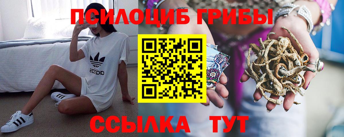 Полысаево  Псилоцибиновые грибы мицелий  Вход с VPN 