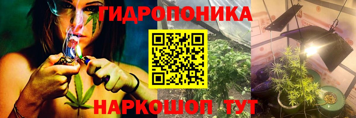 Бошки Шишки Bruce Banner Полысаево